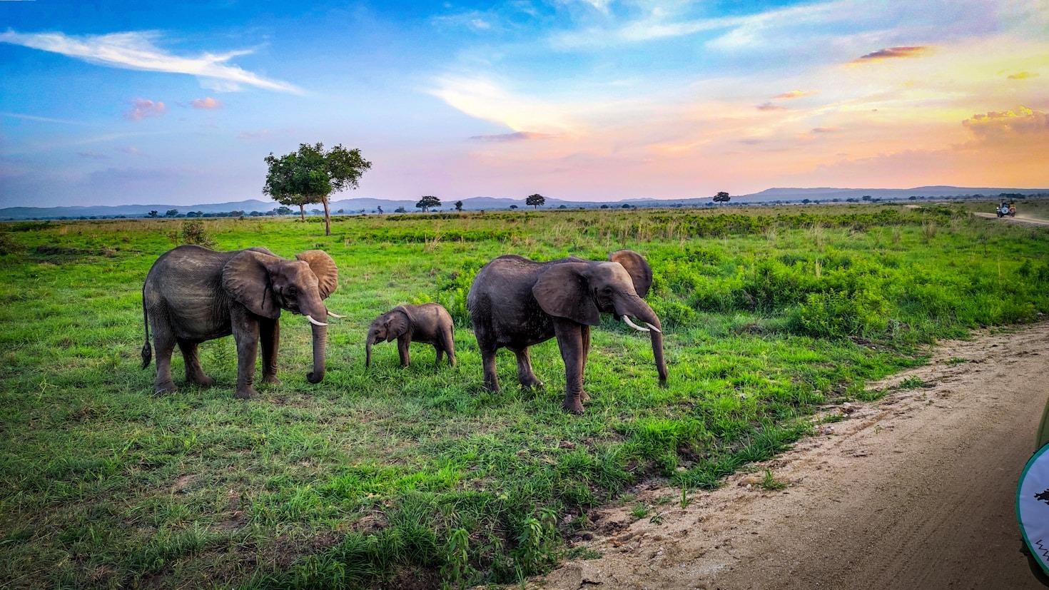 Understanding Tanzanian Culture: A Traveler’s Guide