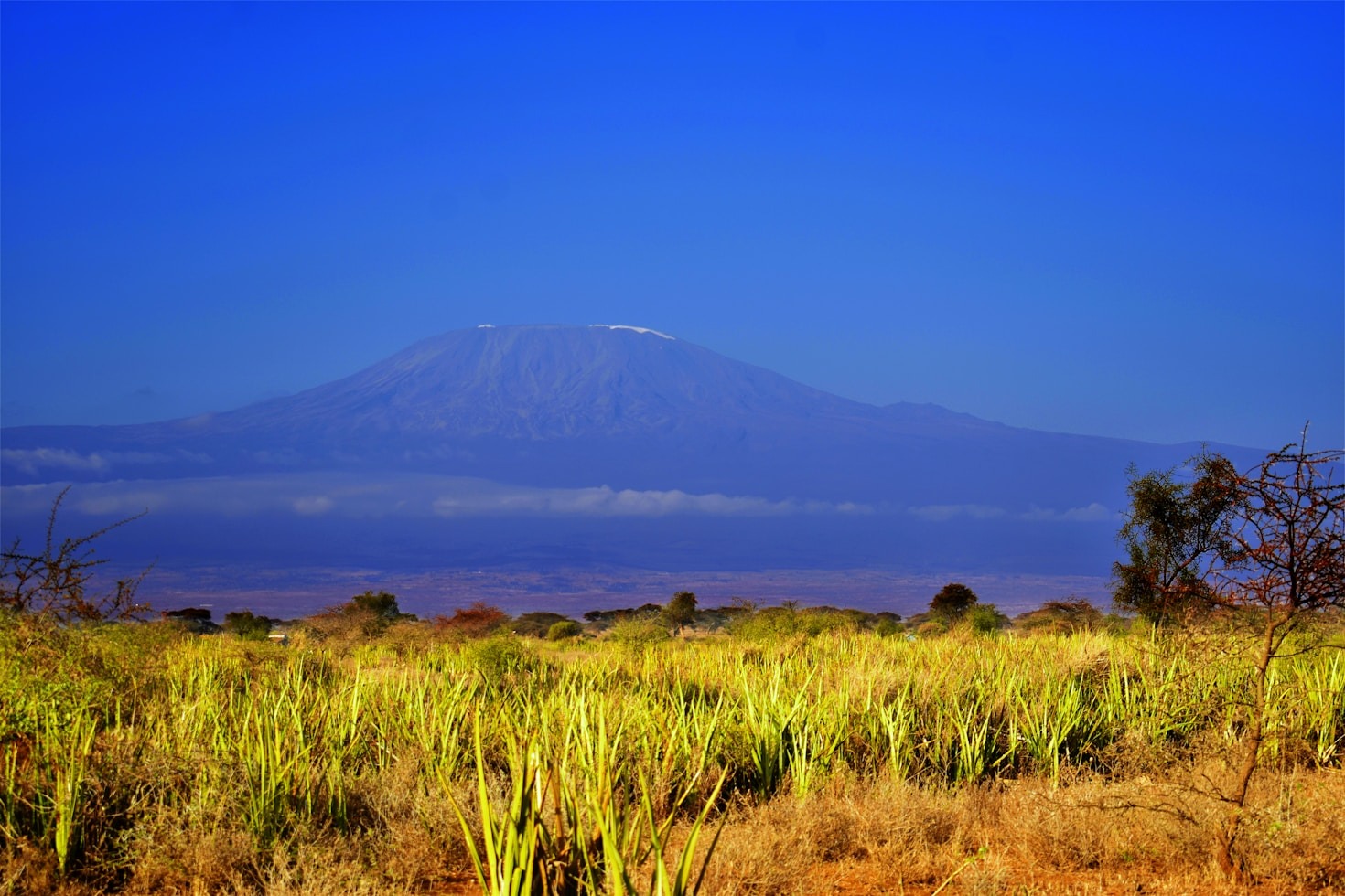 Packing Tips for Your Tanzanian Adventure