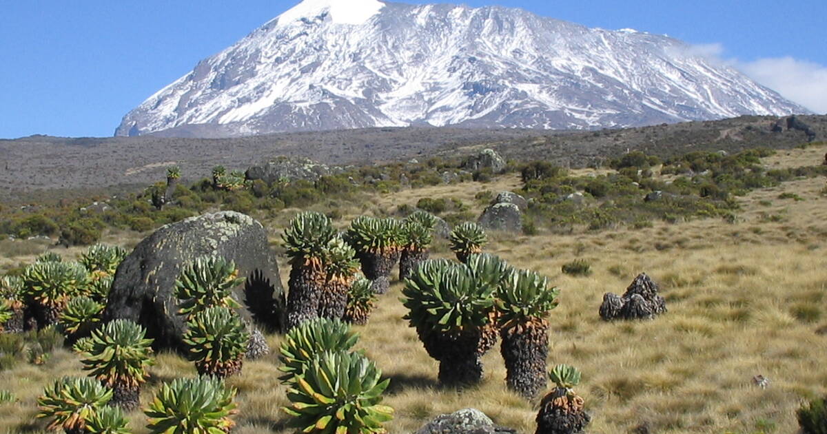 Mount Kilimanjaro